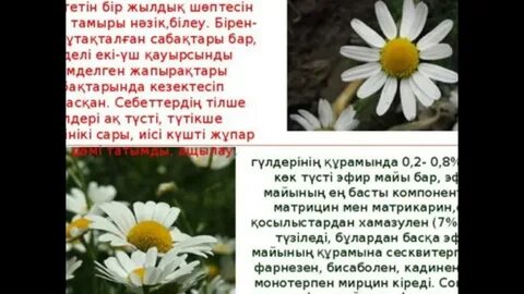 Мен жыныстық қатынасқа түскен емеспін және қаламаймын.