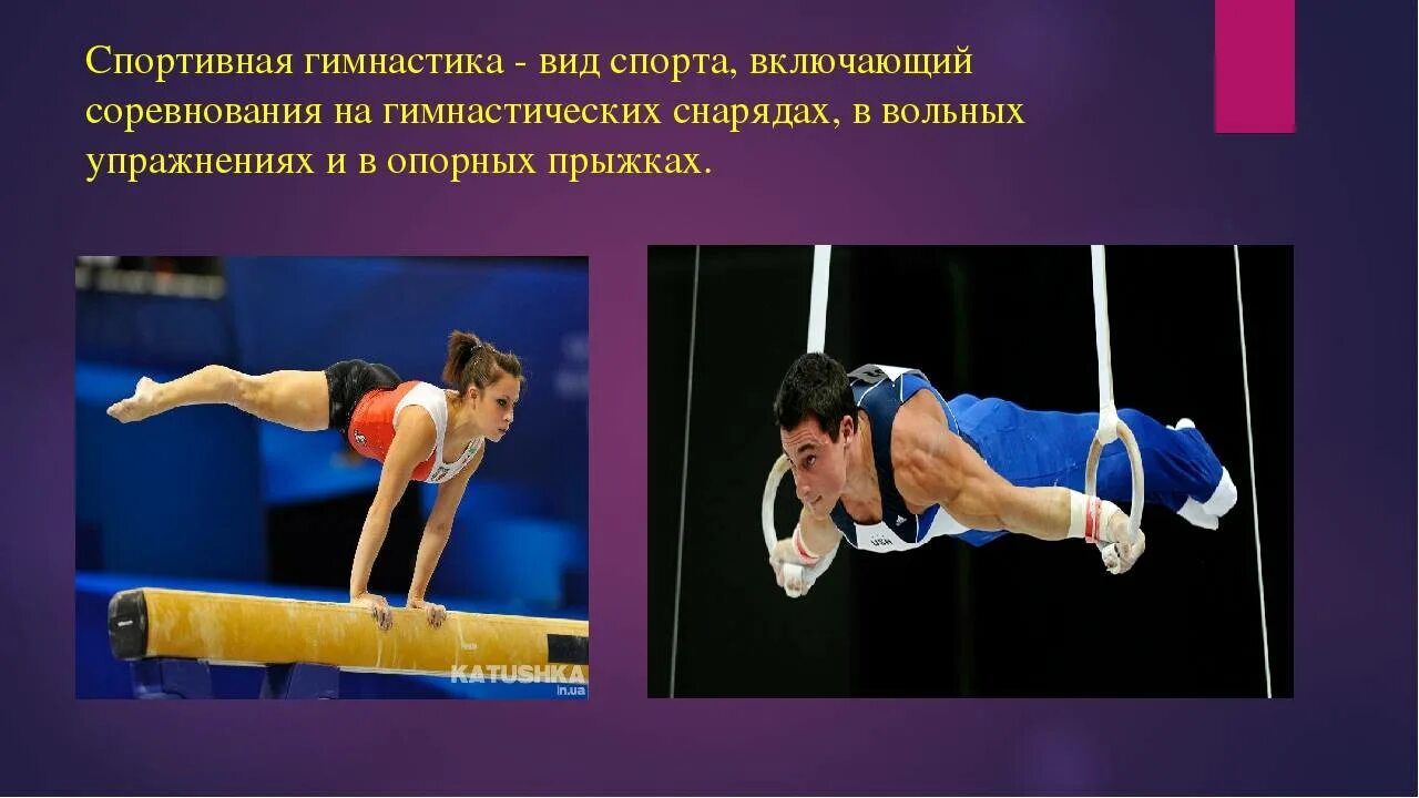 Виды упражнений в спортивной гимнастике. Спортивная гимнастика снаряды. Виды спортивной гимнастики. Упражнения на гимнастических снарядах. Снаряды мужской спортивной гимнастики.