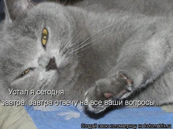 Сегодня я устаю