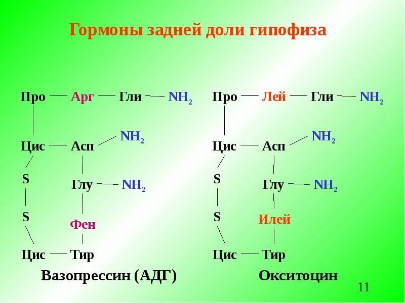 Гипофиза вазопрессин. Строение вазопрессина биохимия. Химическая структура гормонов гипофиза. Окситоцин и вазопрессин формулы. Вазопрессин структурная формула.