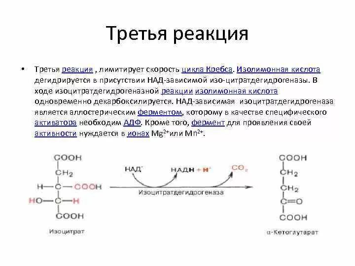 3 реакция цикла кребса. Nad-зависимые ферменты цикла Кребса. Третья реакция цикла Кребса. Характеристика ферментов цикла Кребса.