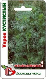 Укроп корелле