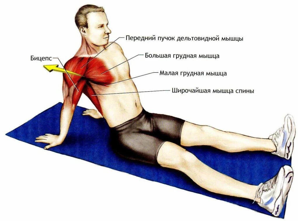 Растяжение плечевой мышцы. Растяжение грудной мышцы. Растяжка мышц плечевого сустава. Упражнения на растяжку мышц груди.