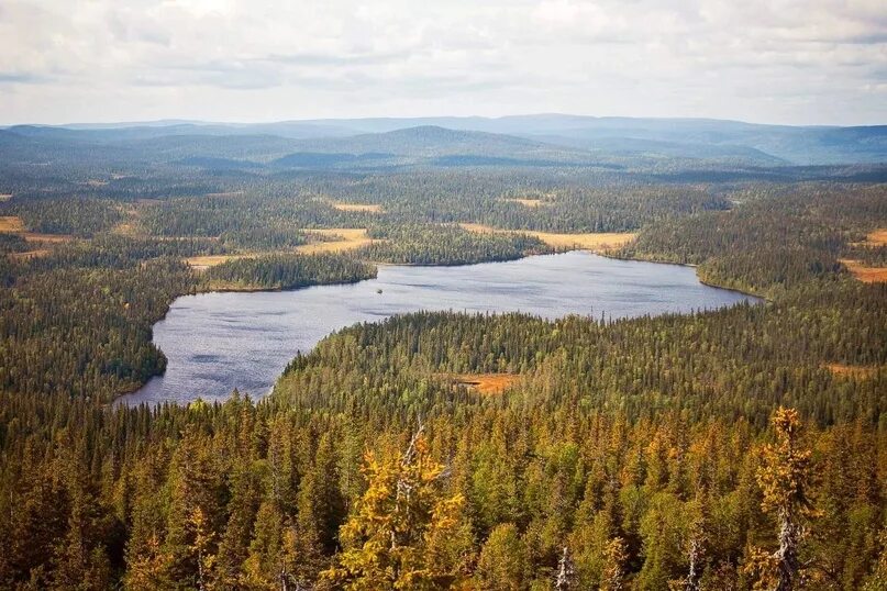 Орлан сортавала. Озеро Паанаярви Карелия. Паанаярви национальный парк. Паанаярви национальный парк в Карелии. Рельеф Карелии.