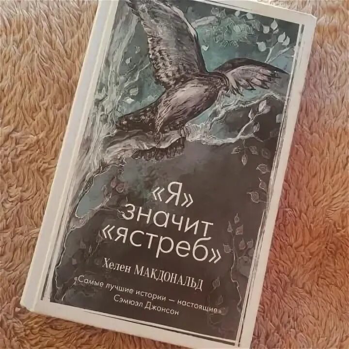 Что значит ястреб. Я значит ястреб. хелен макдональд.