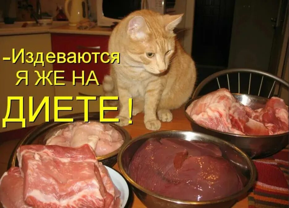 Невкусно ни мне ни тебе
