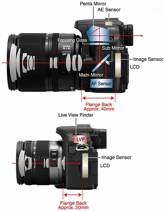зеркальные и беззеркальные фотоаппараты. таблица моделей фотоаппарата canon. фотоаппарат зеркальный и беззеркальный разница.