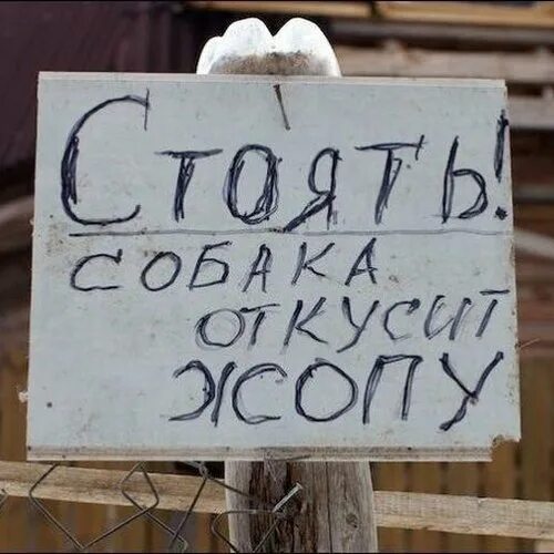 Очень смешные фото с надписью Пин от пользователя Сергей на доске Юмор Фотография юмор, Смешно, Смех