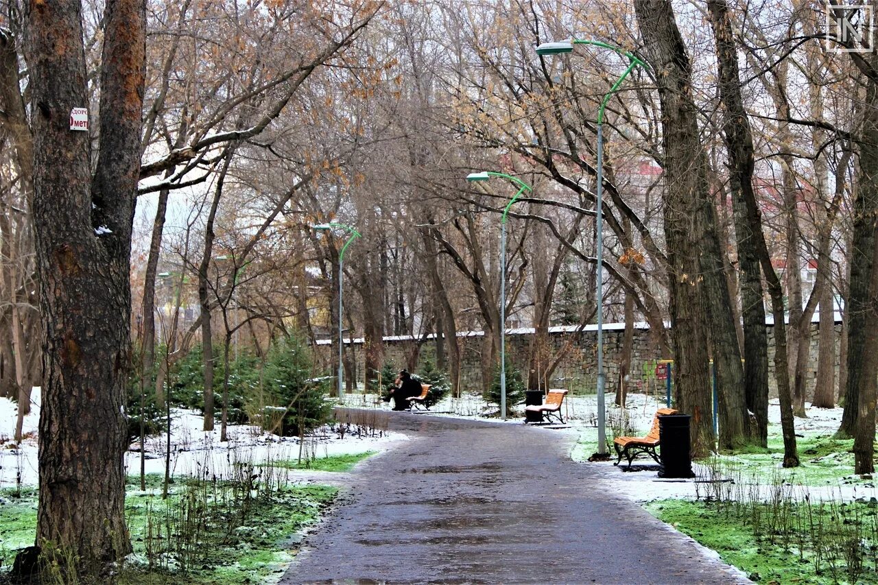 Парк роща екатеринбург