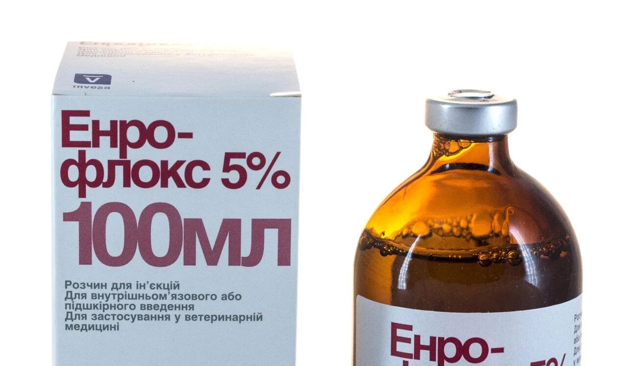 Энрофлоксацин инструкция по применению для птиц. Энрофлоксацин ветеринарные препараты. энрофлоксацин 50 ветеринарный антибиотик. энрофлоксацин 100 порошок. энрофлоксацин 500 мг.