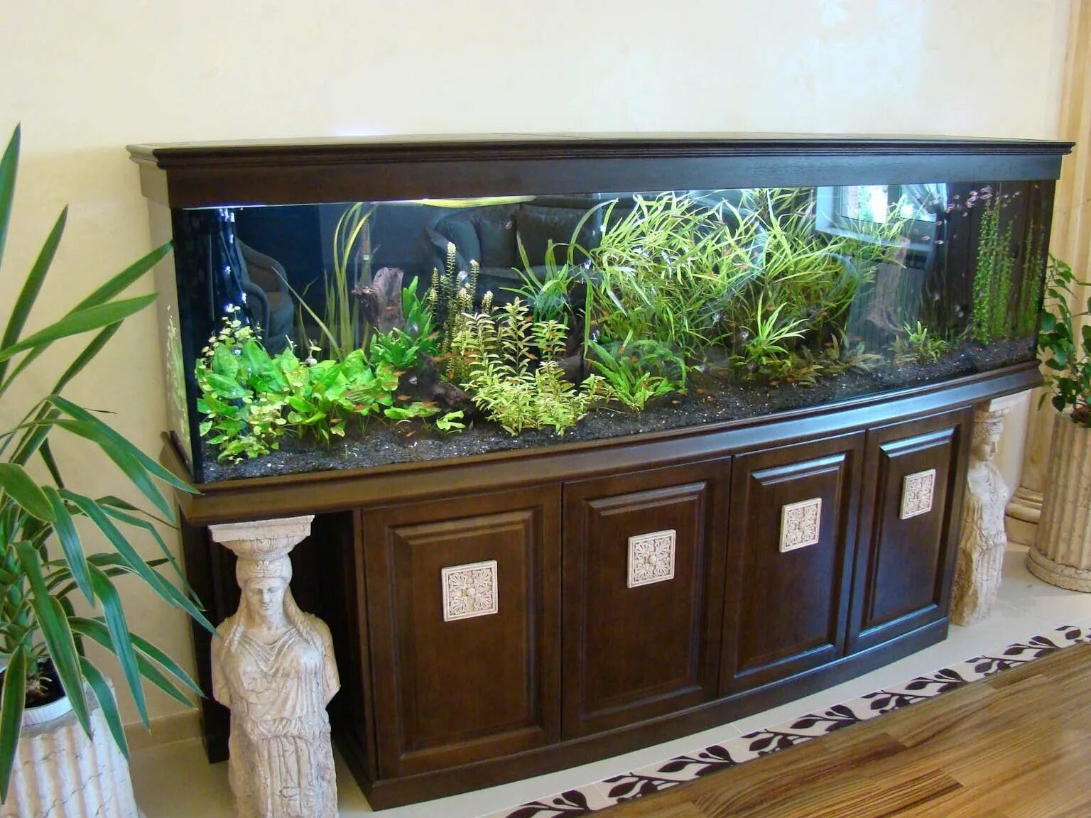 Красивые аквариумы. Аквариум в интерьере. Красивый аквариум с рыбками и растениями. Дизайнерский аквариум.