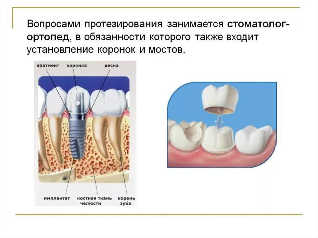 Зубная ортопедия. Профессия стоматолог ортодонт презентация. Стоматолог ортопед профессия. Стоматолог ортопед презентация. Врач занимающийся протезированием зубов