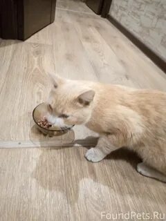 Скуф где твой светлый юный лик эй