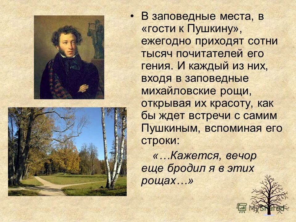 произведения пушкина 19 века. повести белкина презентация. анна павловна керн и пушкин. учителя литературы пушкина. учителя литературы пушкина.