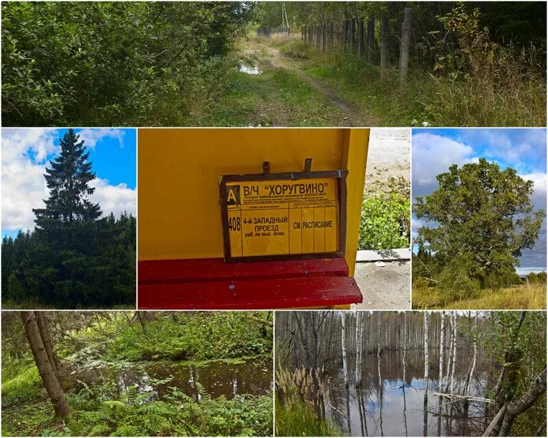 истоки реки волги. исток западной двины исток волги исток днепра. валдайская возвышенность исток волги. исток реки волга часовня. исток волги.