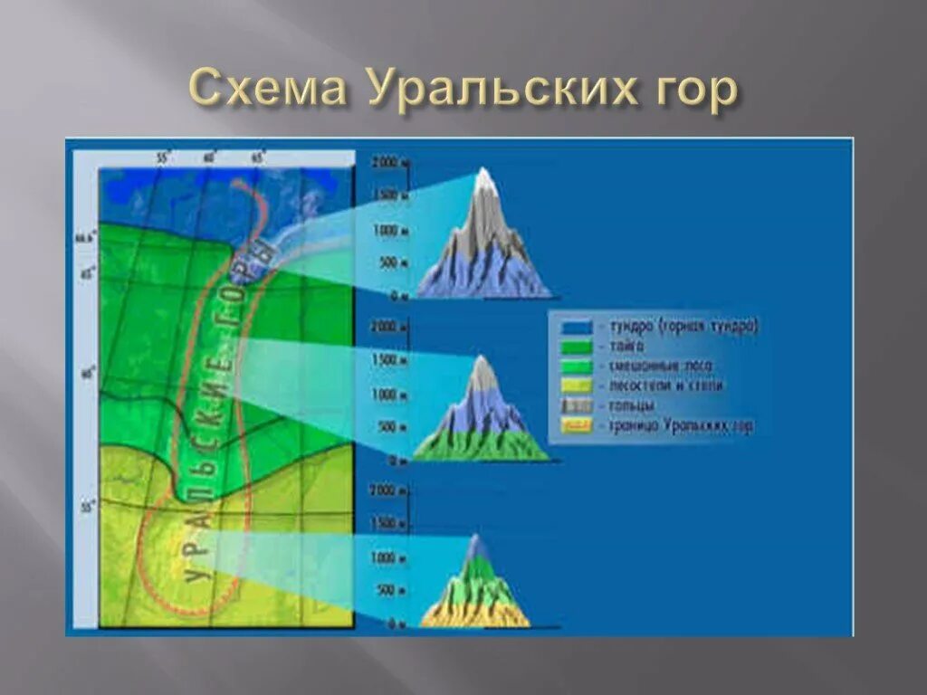 Схема ВЫСОТНОЙ поясности уральских гор. Уральские горы Высотная поясность. Высотная поясность уральских гор гор. Высотная поясность уральских гор таблица. Природная поясность урала