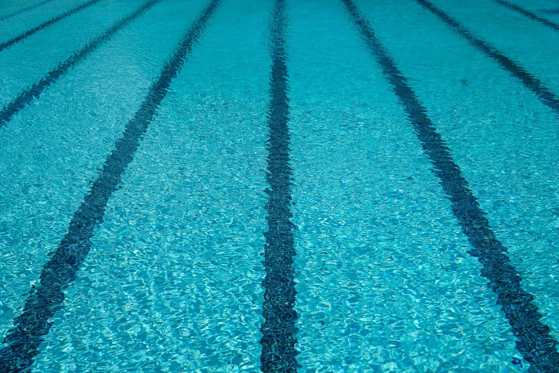 Pool close. Pool close. Pool closed. Pool closed. Самые смешные бассейны.