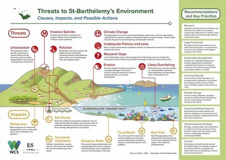 The threat to the environment