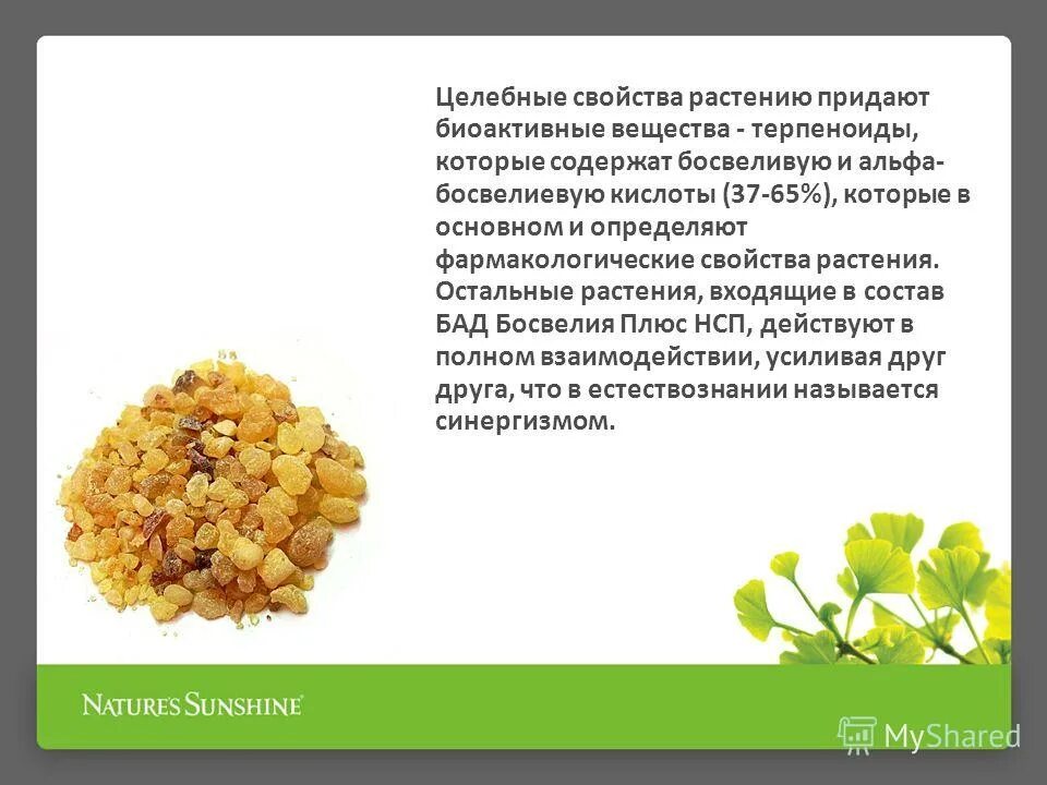 вещество придающее растительной. вещество придающее растительной. хлоропласт. хлоромопласт хлорофилы хлоропласты. клетки которые придают прочность растениям.