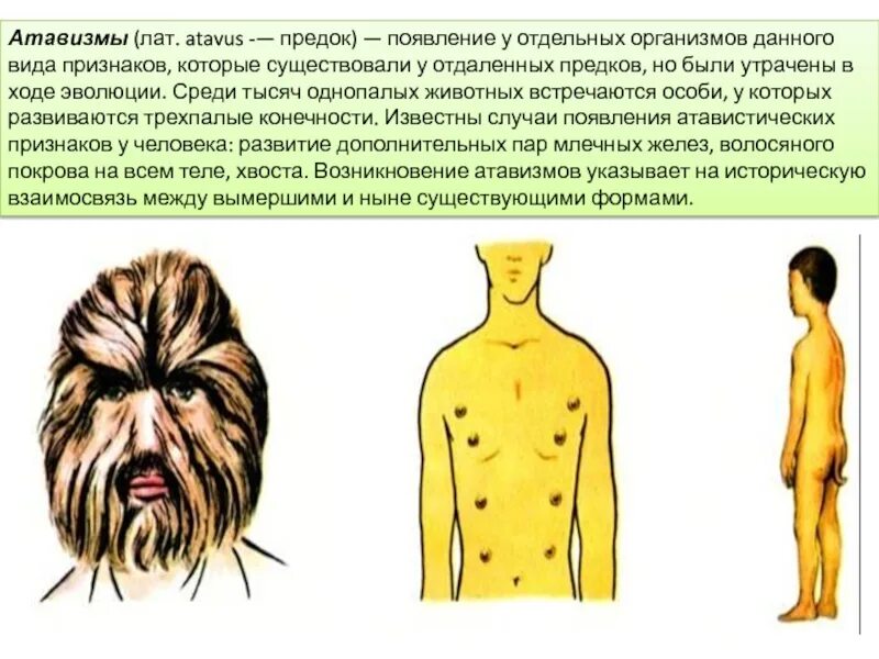 Атавизмы определение. Атавизмы человеческого организма.