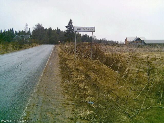 всеволожский район табличка. токсово осельки. токсово осельки. поселок осельки всеволожский район на карте. станция осельки ленинградская область.