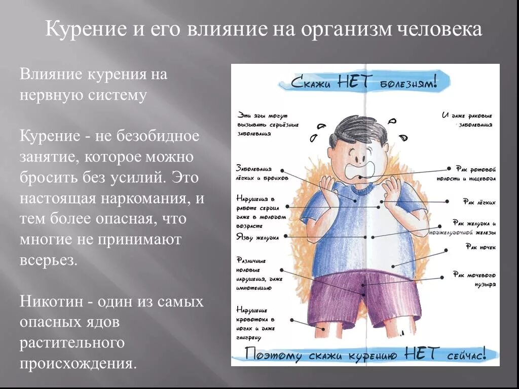 Влияние курения на организм. Воздействие табакокурения на организм человека. Влияние табакокурения на организм. Влияние сигарет на органи. Влияние курения на человека презентация