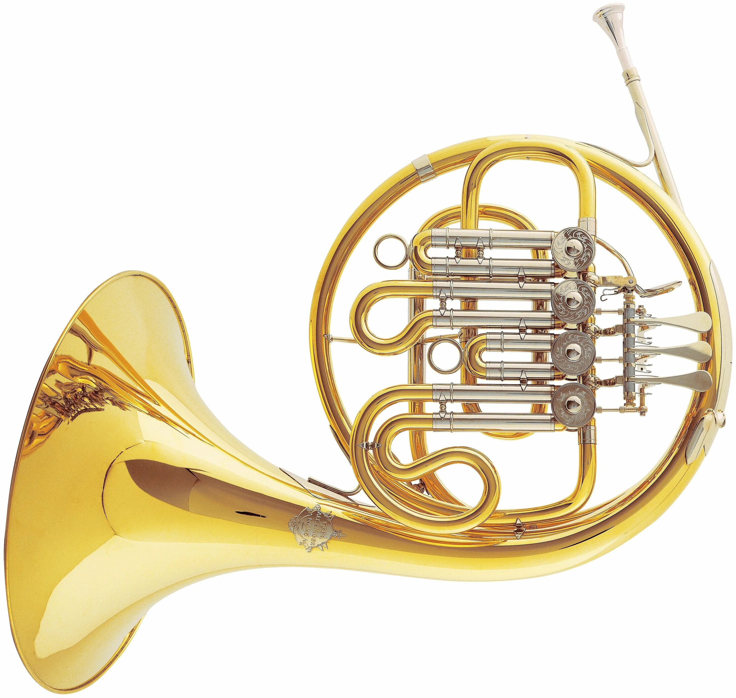 валторна паксман. строение валторны. валторна духовой музыкальный инструмент. медные духовые валторна. валторна духовой музыкальный инструмент.