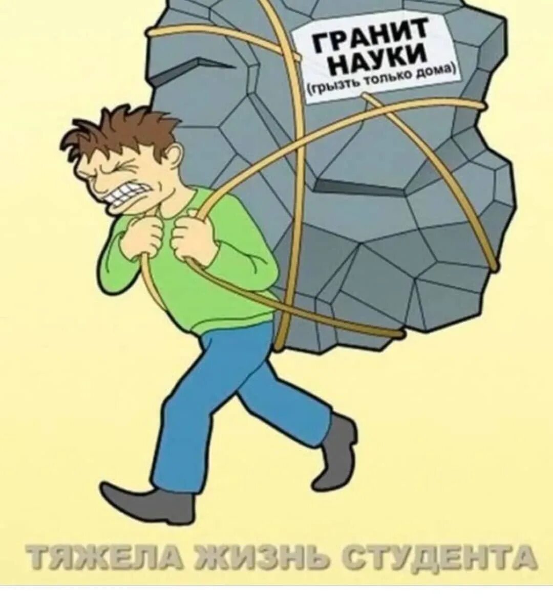 Грызть гранит науки. Жизнь студента. Приколы про студентов. Приколы про студентов в картинках. Глупый труд