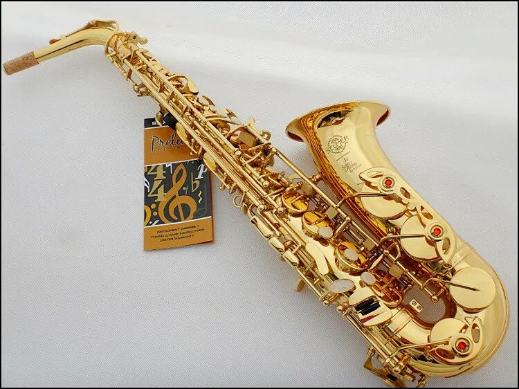 Стив грегори саксофонист. Красивый саксофон. Саксофон альт мультяшный. Джаз. Selmer supreme alto sax.