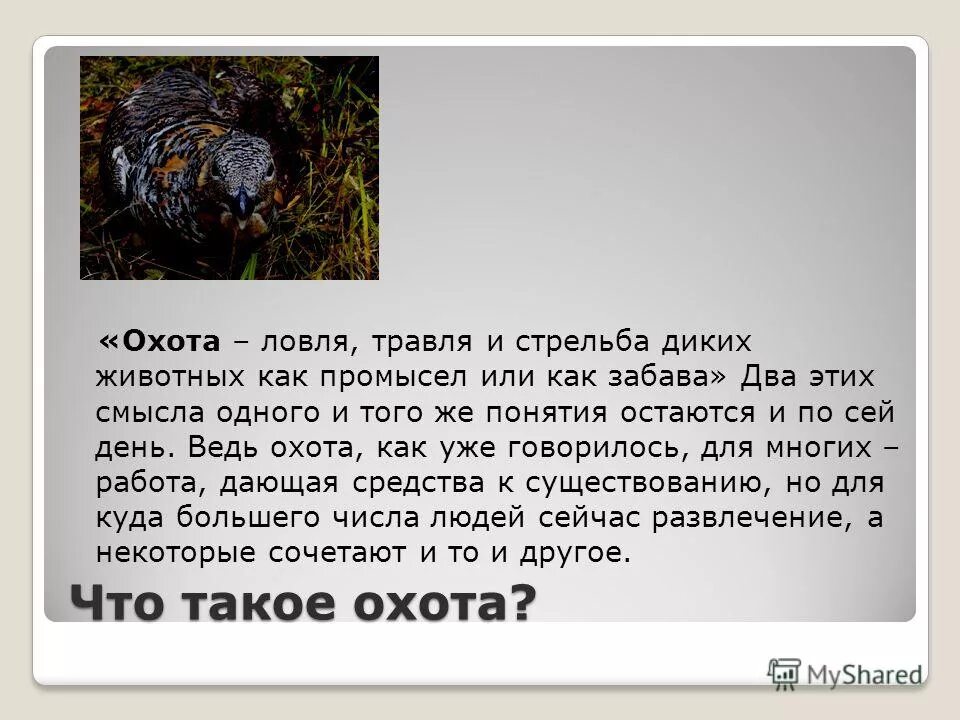 Мой любимый эпистат охотится. Охота это определение. Термины охота. Что такое охота кратко. Охота презентация.