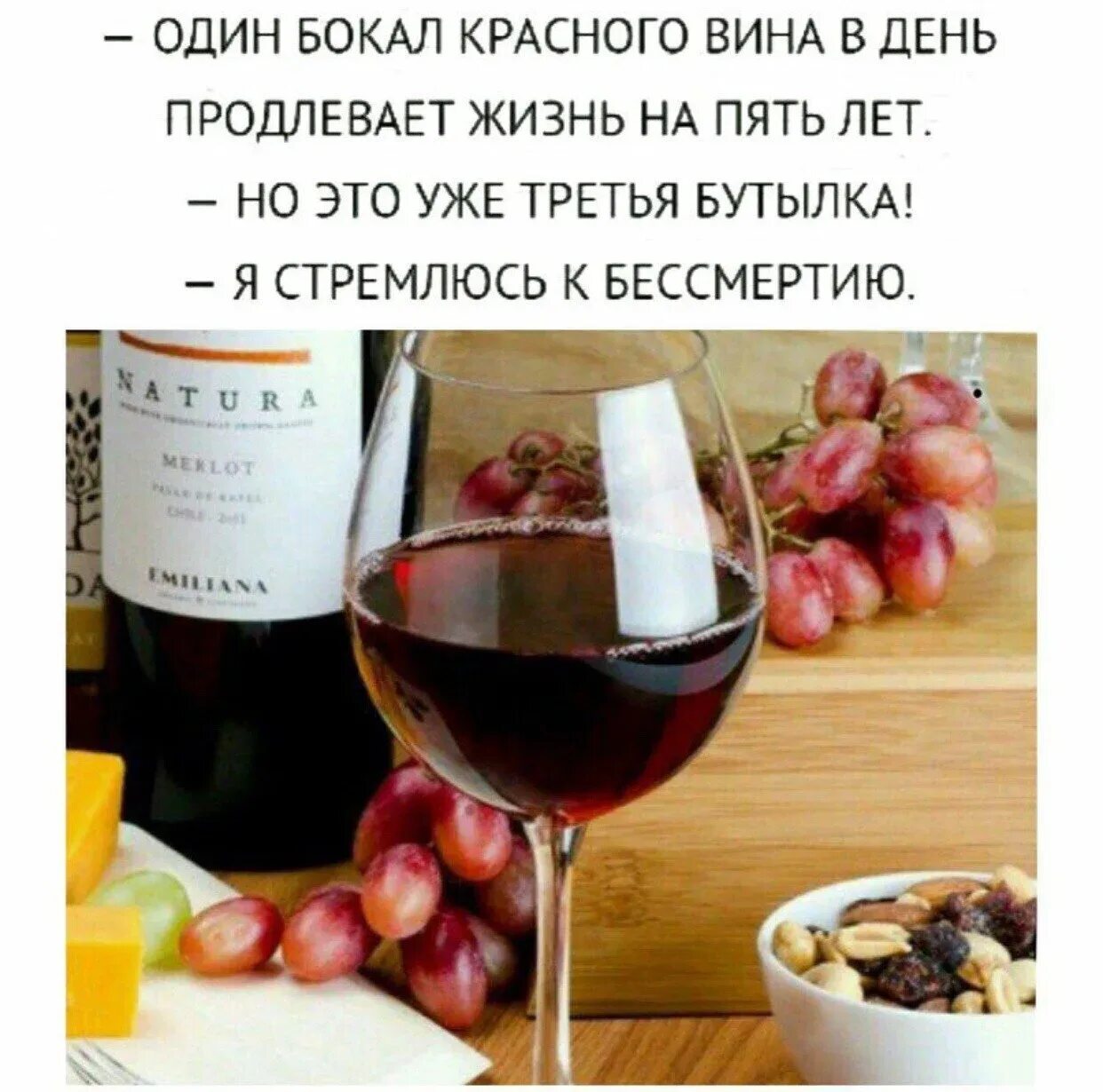 Полезное другими словами. Афоризмы про вино. Смешные фразы про вино. Цитаты про вино. Прикольные высказывания про вино.