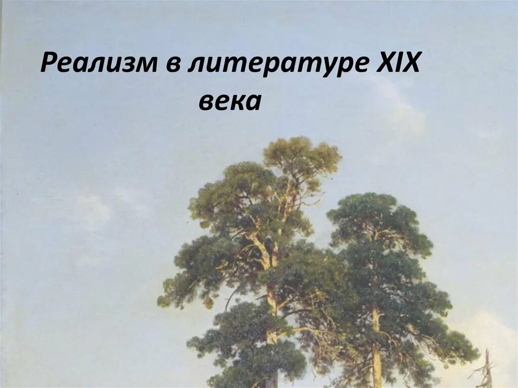 Первое реалистическое произведение. Реализм 19 век литература. Реализм в литературе. Реалисты 19 века литература. Реалисты в литературе.