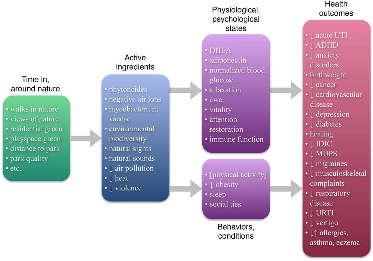 Physiological response
