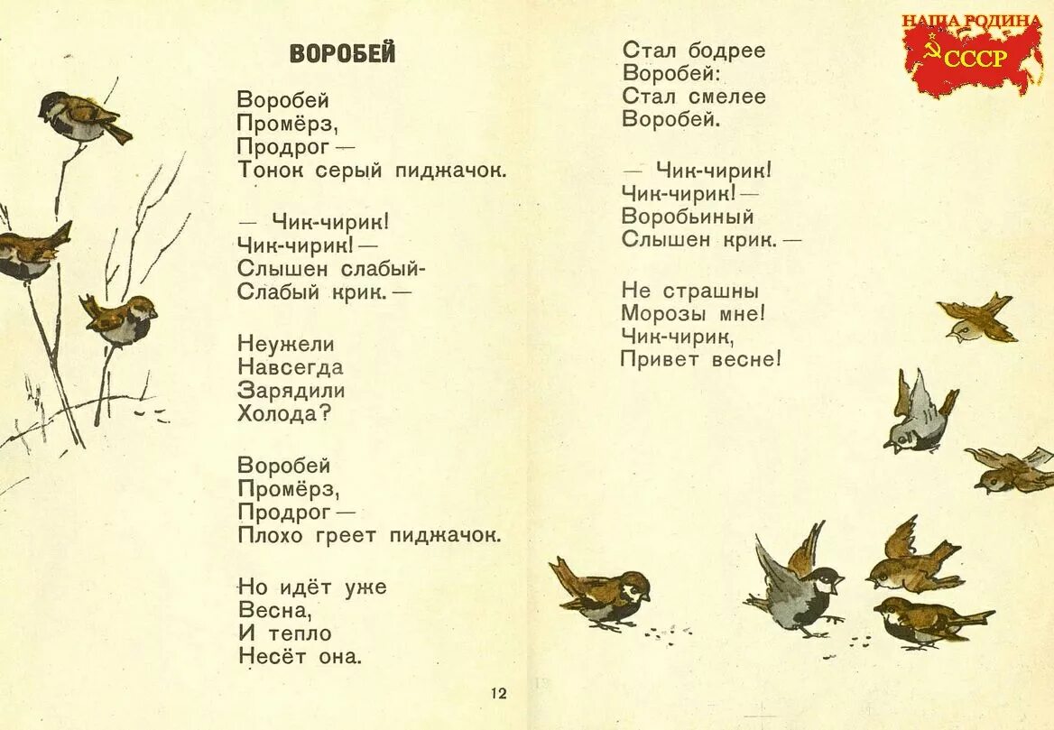 Текст песни воробьев. Стих про воробья. Стих про воробья для детей. Стих про воробушка для детей. Стих про весну Воробей.