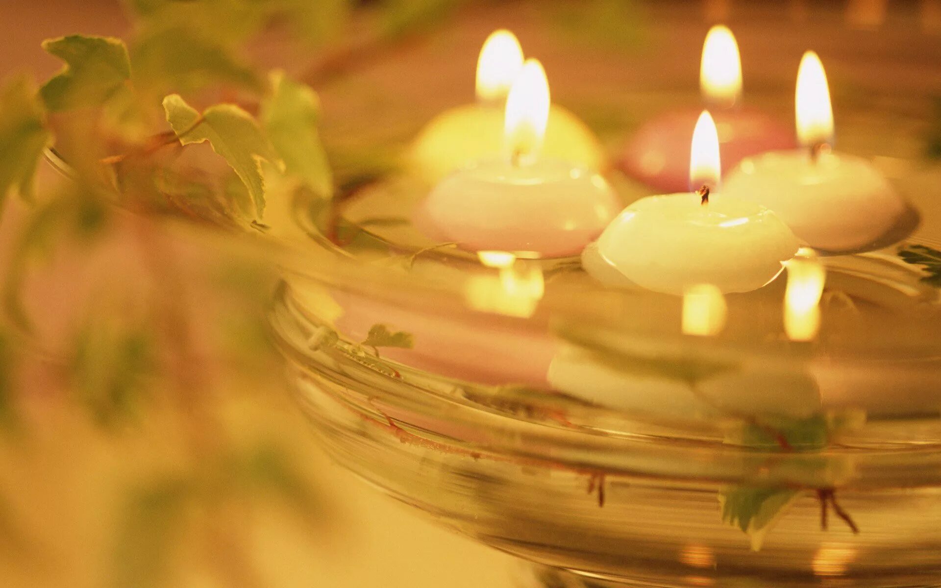 Красивые свечи. Романтические свечи. Свечи романтика. Цветы и свечи.