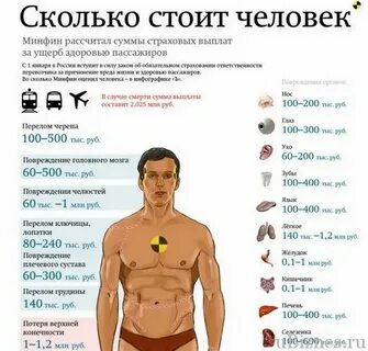Сколько всего органов