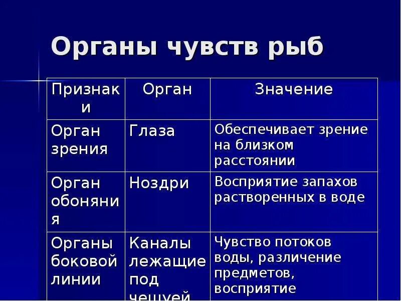 Форма тела рыбы характеристика и значение таблица Картинки ФУНКЦИИ ПЛАВНИКОВ РЫБЫ ТАБЛИЦА