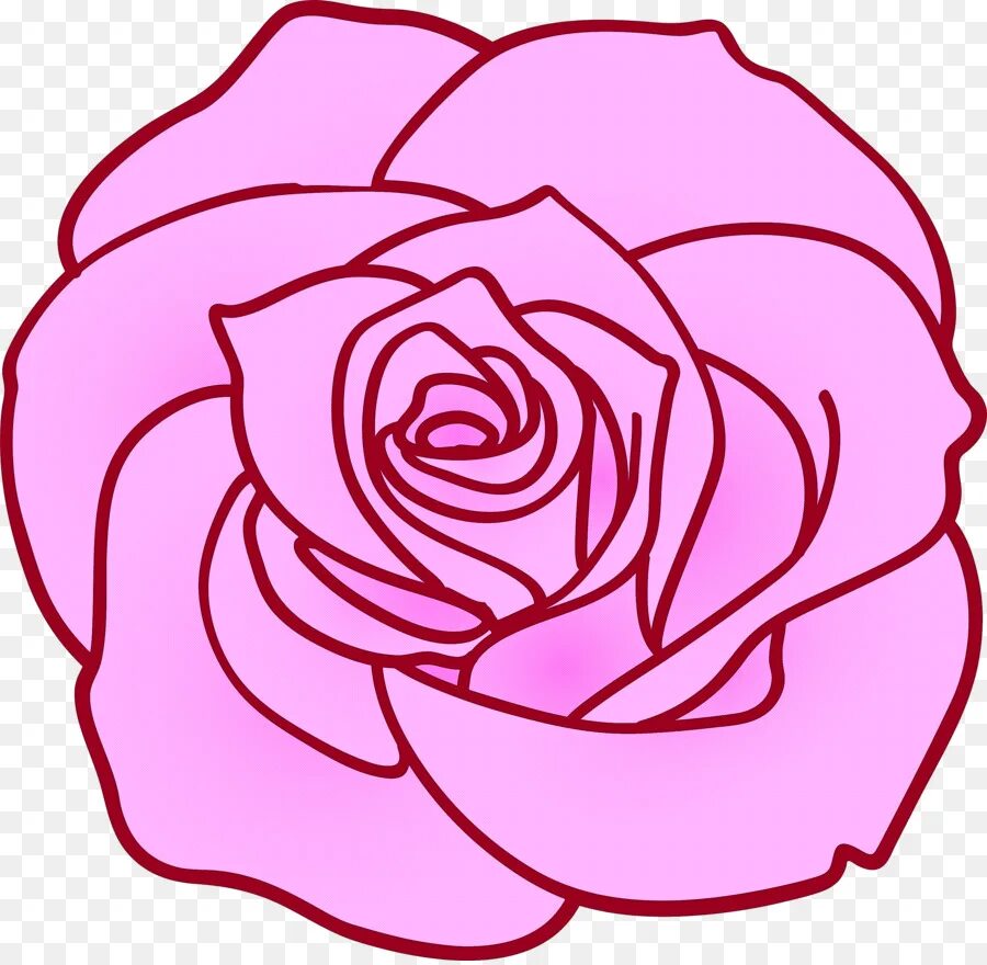 Нарисовать розовый цветок. Контур розы на прозрачном фоне.