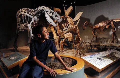 Crew, Diana Lee Prehistoric Journey: Denver Museum