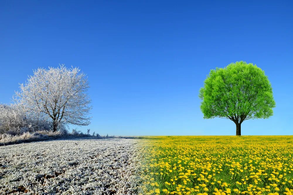 И зимы и лета проект Four seasons set winter spring summer Royalty Free Vector