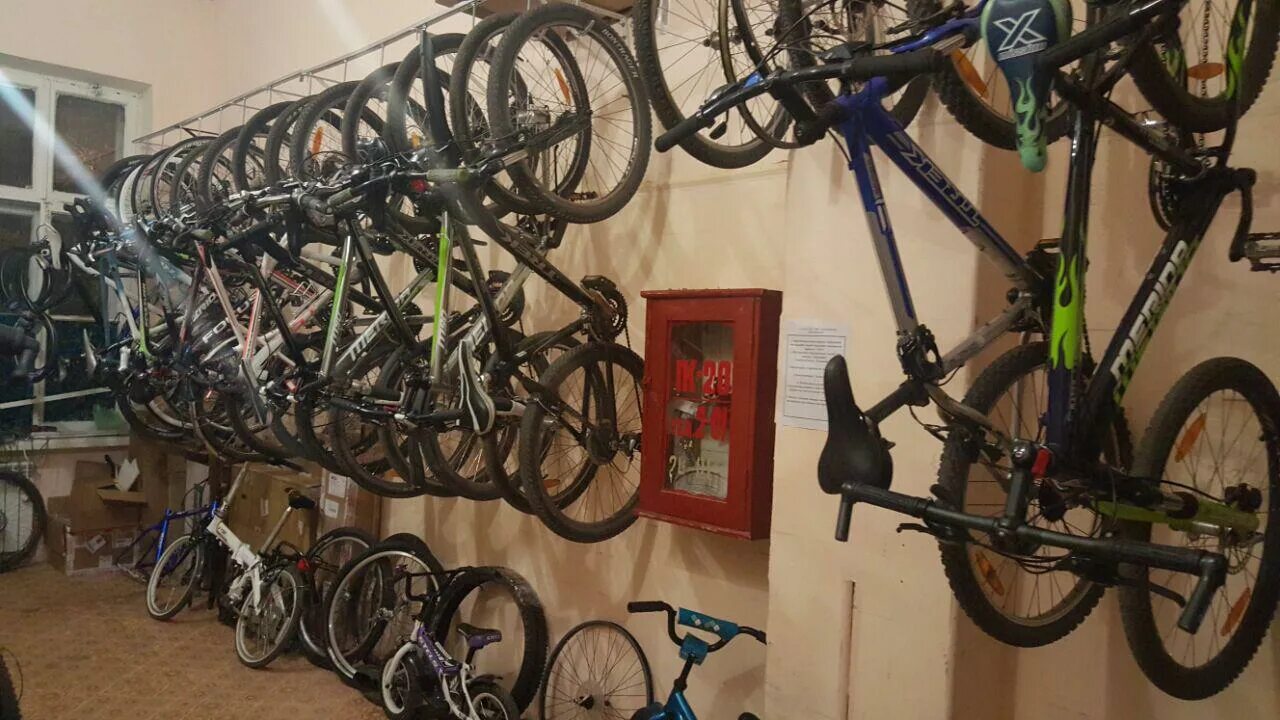 Можно ли сдать велосипед. Много велосипедов. Хранение велосипеда зимой. Куча велосипедов в квартире. Сезонное хранение велосипедов.