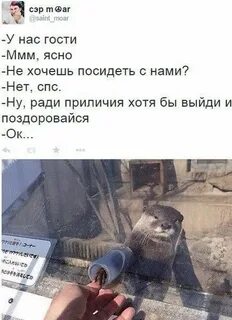 Ммм ясна