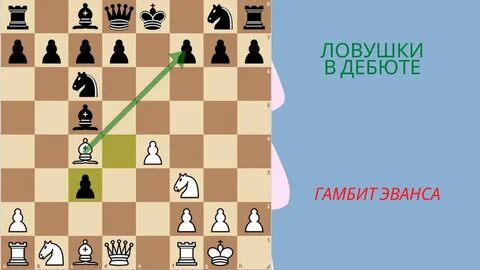 Гамбит эванса