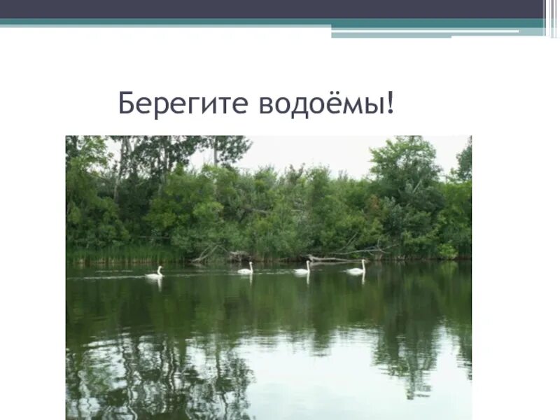 Водные богатства омской области. Берегите водоемы. Берегите наши водоемы. Берегите водоемы картинки. Тема берегите водоемы.