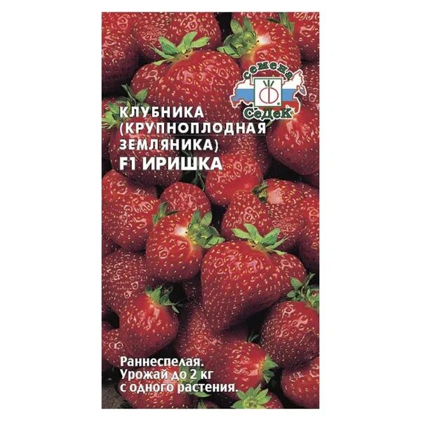 Купить семена Земляника Иришка от Седек, 5429