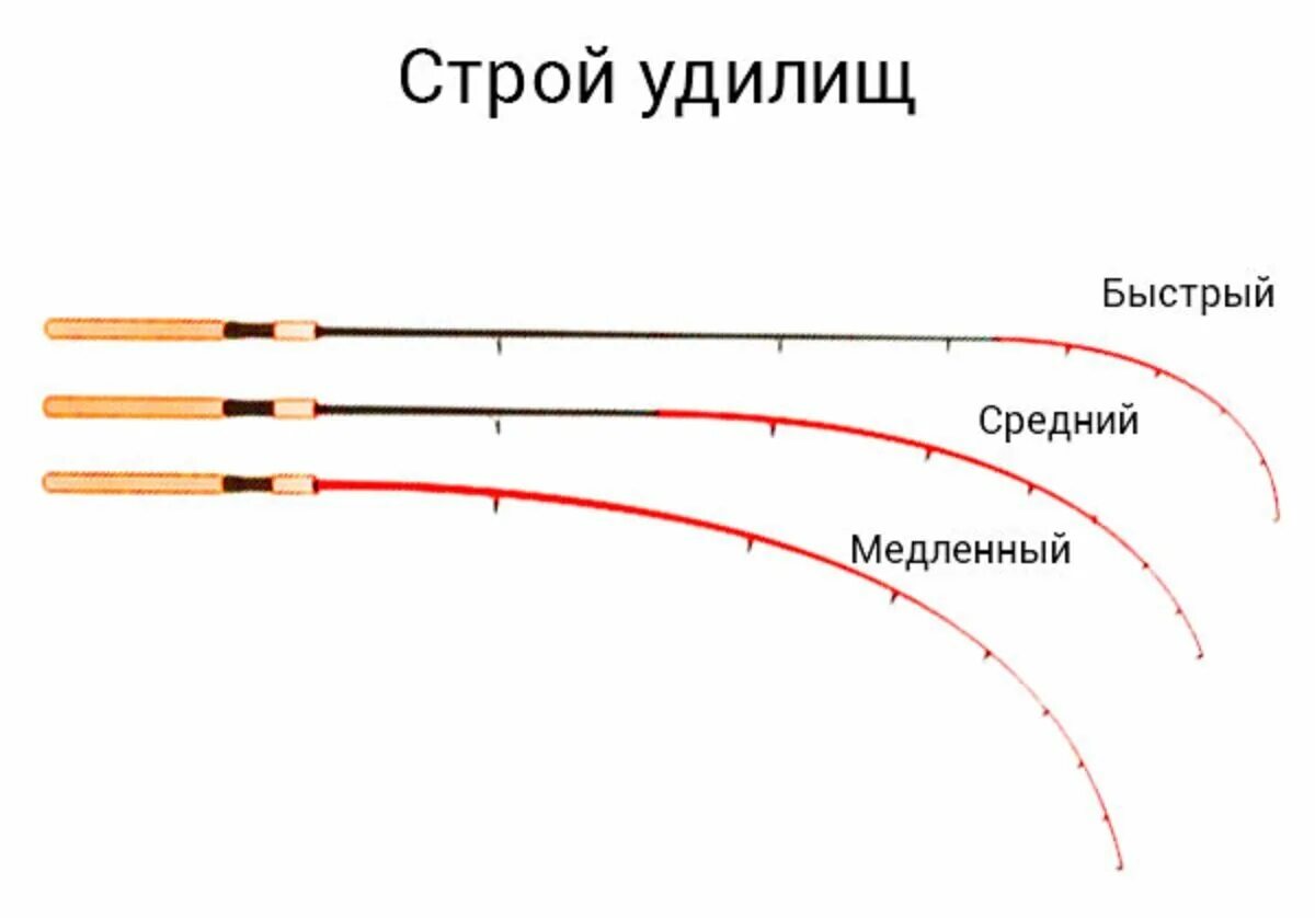 Что значит тест на спиннинге. Строй фидерного удилища. Классификация Строй фидерного удилища. Medium fast Строй удилища. Как определить Строй фидерного удилища.