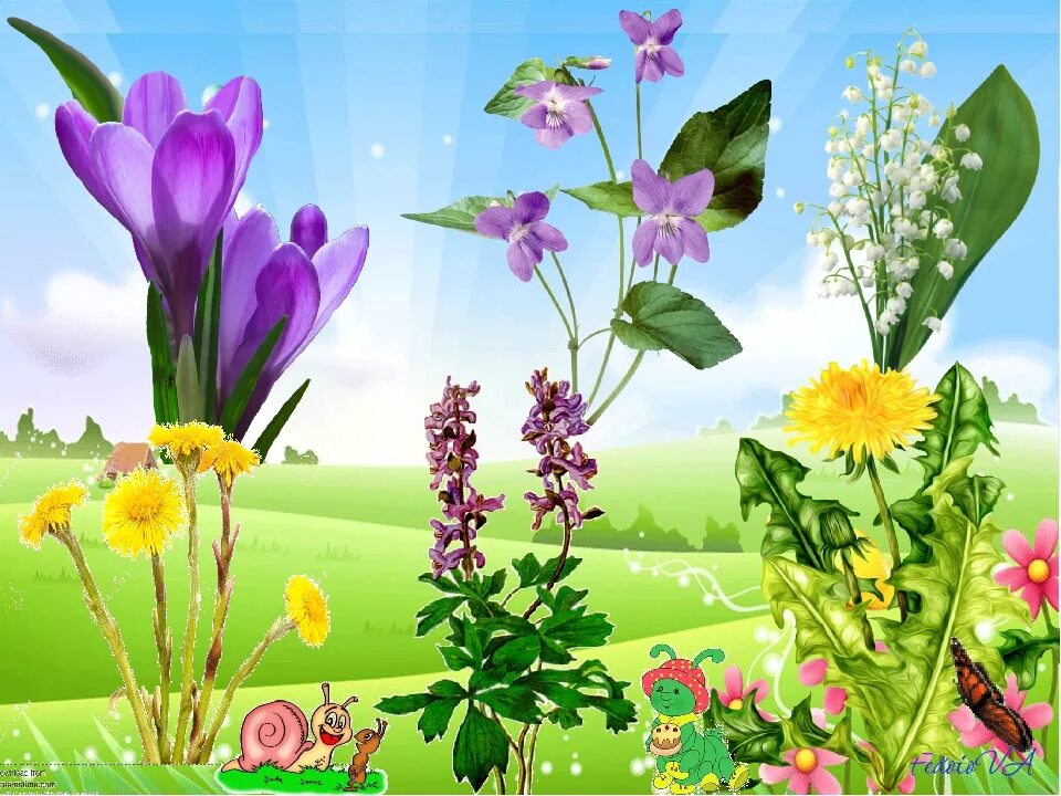 Весенние цветы. Весенние цветы для детского сада. Первоцветы для дошкольников.