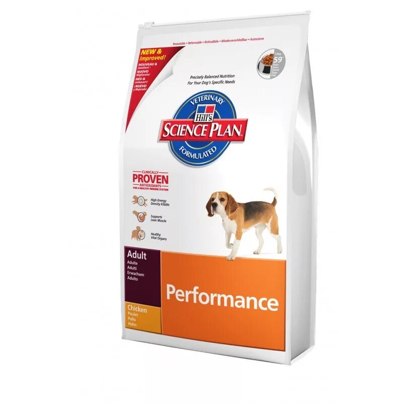 Роял канин для биглей щенков. Сухой корм royal canin beagle adult. Роял канин бигль эдалт. Какой корм для бигля. Royal canin бигль для щенков.