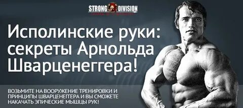 Программа арнольда шварценеггера на массу