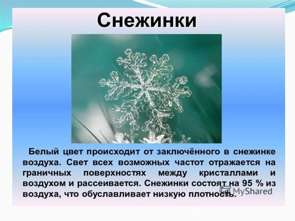 Текст описание на тему снег. Интересное про снежинки для детей. интересные факты о снежинках. снежинки для презентации. интересные факты о снеге и снежинках.